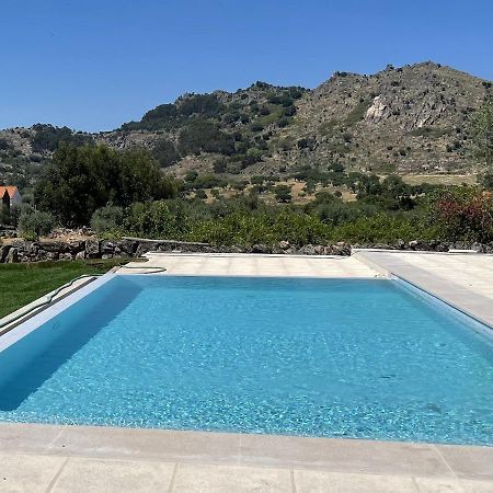 Casas Da Villa - Monsanto - Oliveira E Videira Relva  Εξωτερικό φωτογραφία